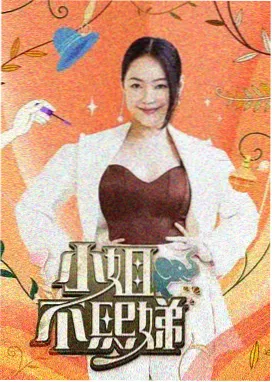 综艺条目观测窗封面四